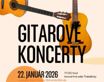 Gitarové koncerty